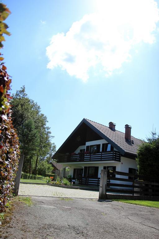 Lake House Apartment Medvode Extérieur photo