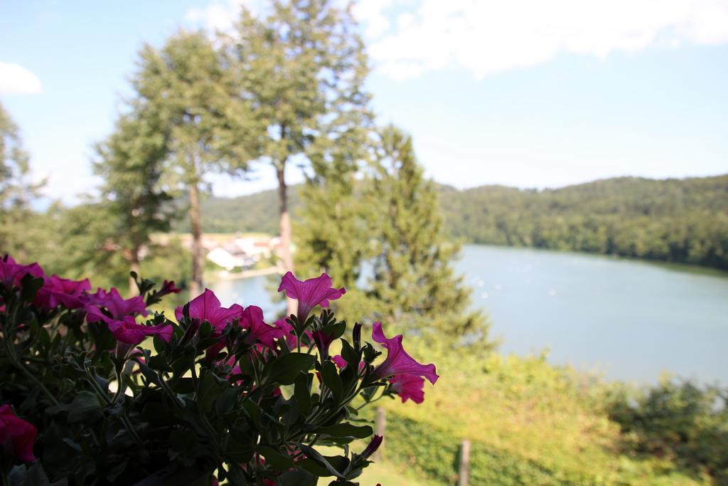 Lake House Apartment Medvode Extérieur photo