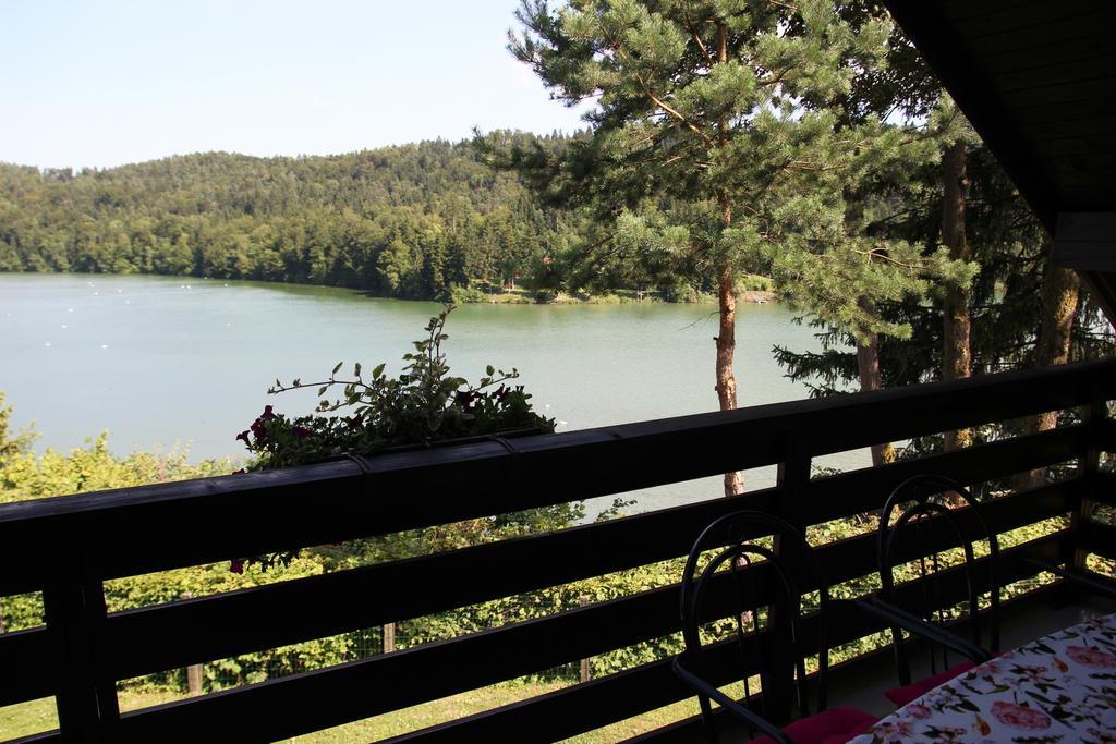 Lake House Apartment Medvode Extérieur photo