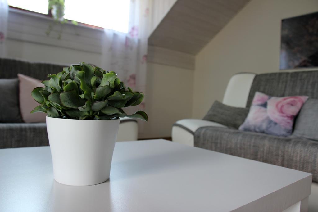 Lake House Apartment Medvode Extérieur photo