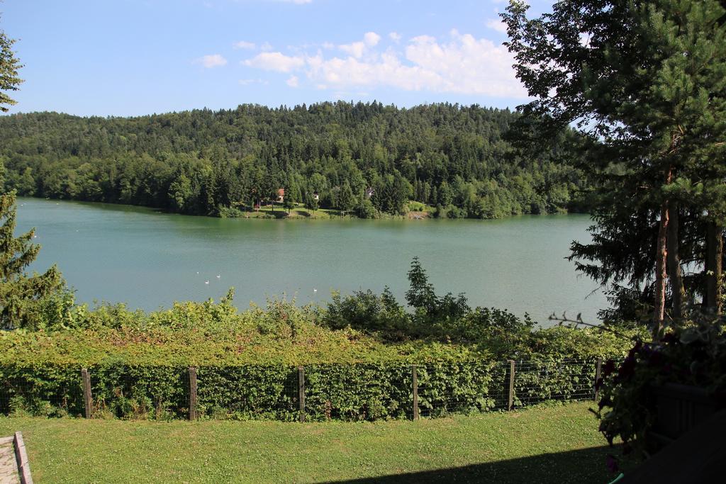 Lake House Apartment Medvode Extérieur photo